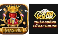 So sánh chất lượng dịch vụ game cá độ tại 2 nhà cái Max Vin và Go66